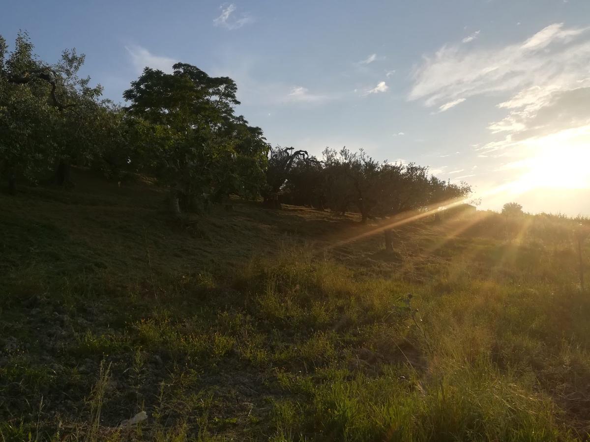 アテッサ Agriturismo La Ruelleヴィラ エクステリア 写真