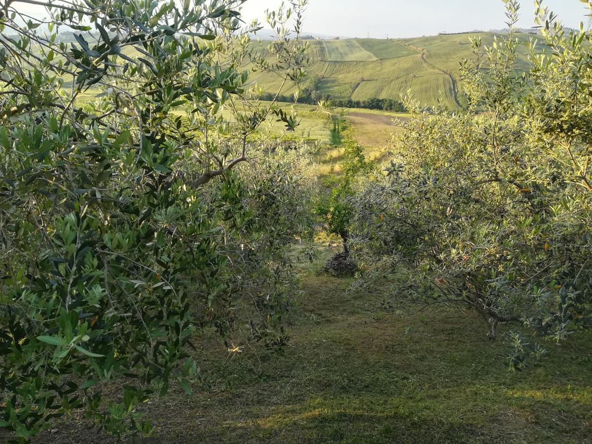 アテッサ Agriturismo La Ruelleヴィラ エクステリア 写真